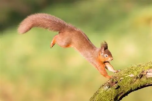 Разработка гибкого маркетинга в среде VUCA