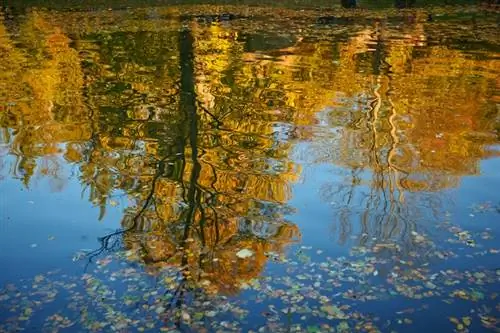 Очень странные дела – Уроки контент-маркетинга с ног на голову