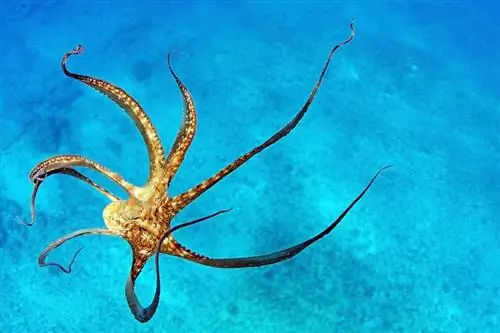 Ритейлерам сложно обеспечить омниканальный опыт из-за недостаточного качества данных о клиентах