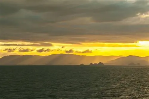 Насыщенность мобильных приложений: что будет дальше в тенденциях взаимодействия с клиентами