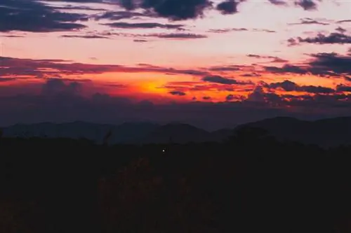 Нарушая культурные границы психологии цвета, чтобы развивать наши фотографические стили