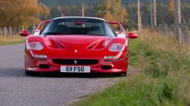 Задняя сетка Феррари Ф50