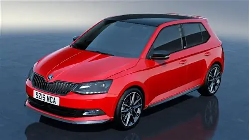 Раллийный гламур для Skoda Fabia Monte Carlo