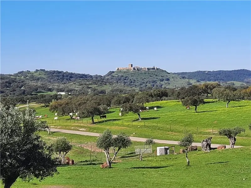 Сегодня в Португалии стартовал аукцион по продаже солнечной энергии мощностью 700 МВт