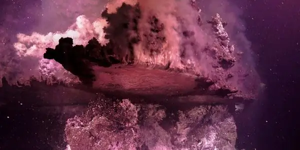 Розовый оазис под морем Кортеса