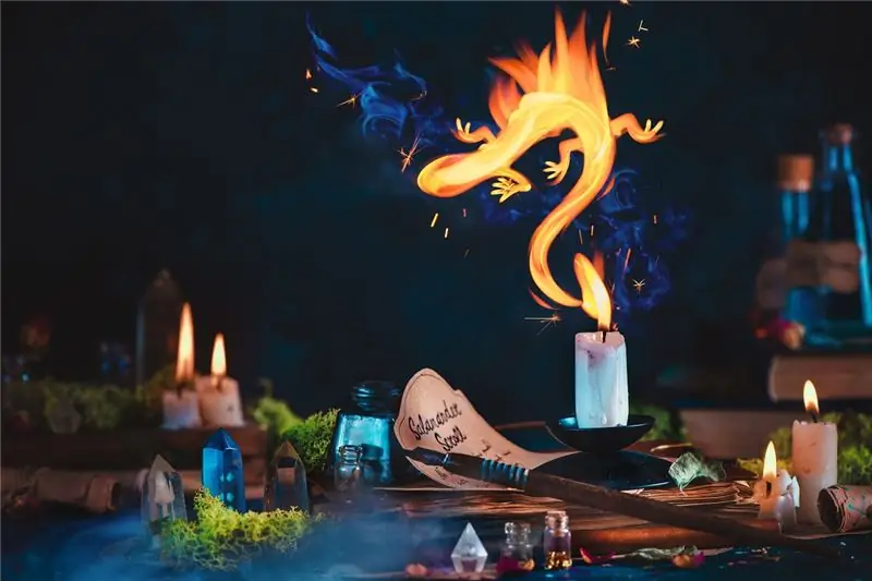 Суеверия и поверья животных: действительно ли они приносят несчастье?