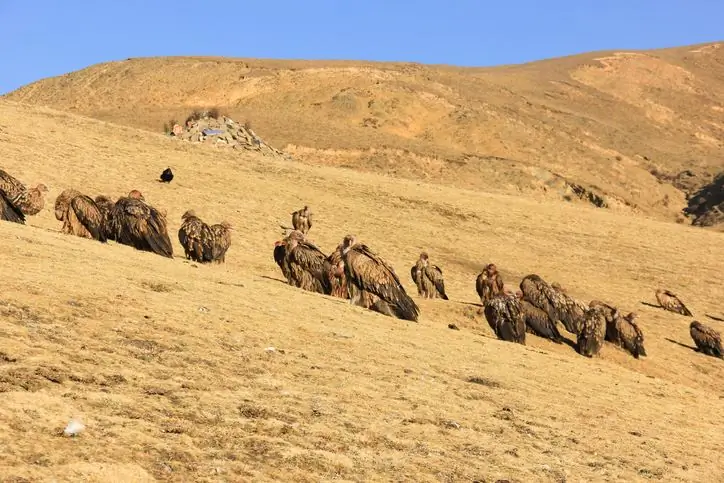небесное захоронение