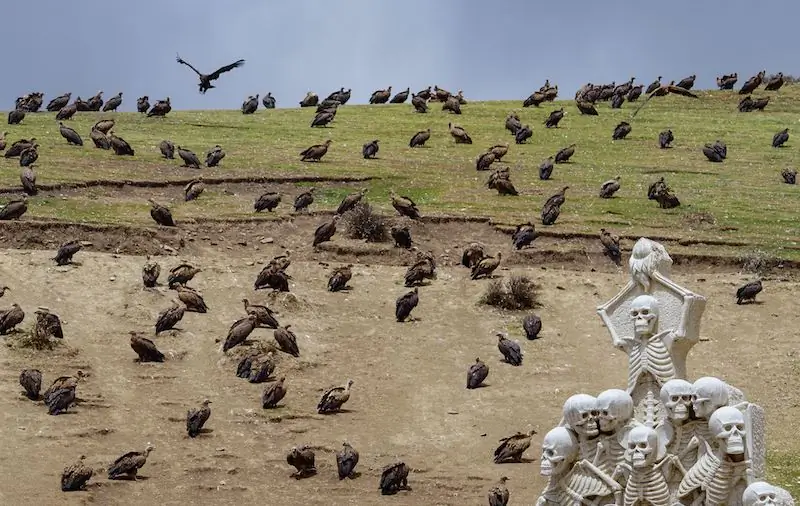 Небесное захоронение: погребальный ритуал Тибета, когда стервятники пожирают трупы