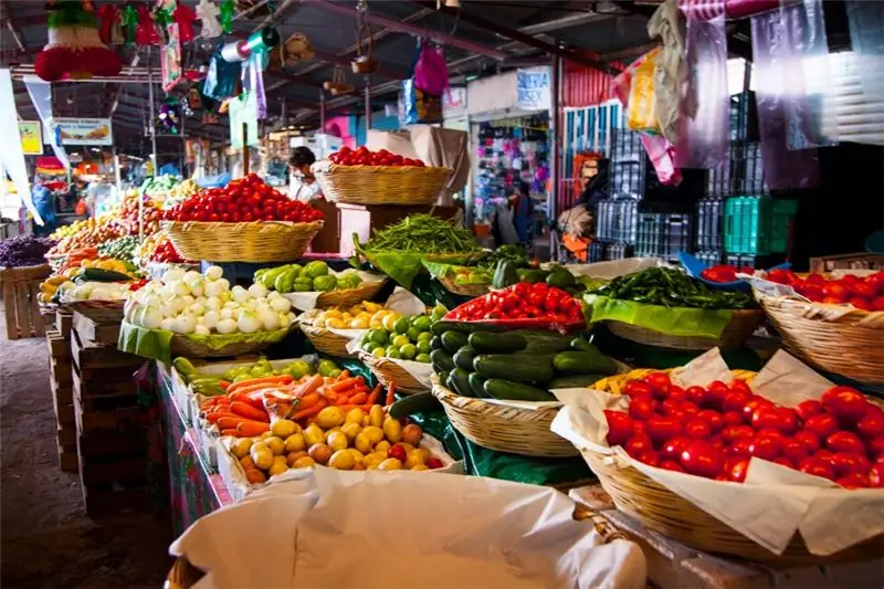 основные виды деятельности cdmx красный сигнал светофора