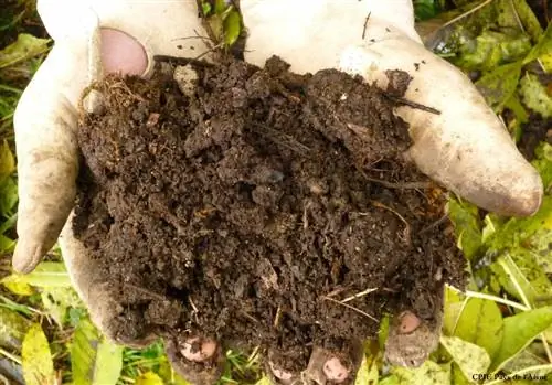 компост-мур3