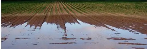 Земля уйдет под нашими ногами?