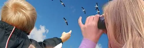 совместное научное наблюдение