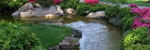 95% европейцев хотят защитить окружающую среду