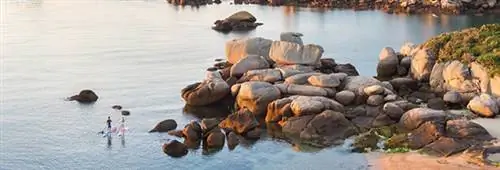 &copy; Эммануэль Бертье