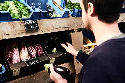 VIN7636[1]-фарм1