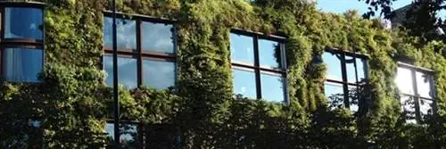 Городское сельское хозяйство и биоотходы: 100 новых гектаров зелени в Париже