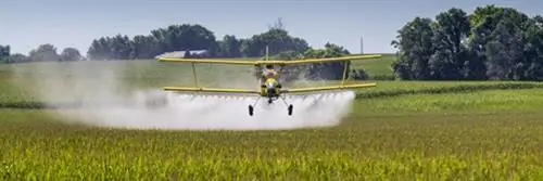 Николя Юло: «Битва с неоникотиноидами еще не окончена»