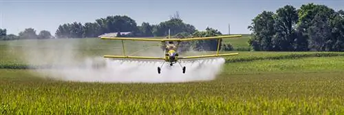 Николя Юло: «Битва с неоникотиноидами еще не окончена»