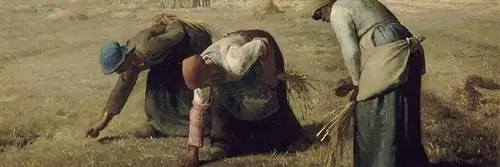 Что, если бы вы пошли собирать урожай в поле?