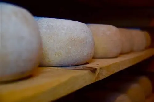 Отзыв продукта: Чистый овечий сыр - Matocq