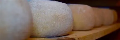 Отзыв о продукте: Чистый фермерский овечий сыр – Matocq