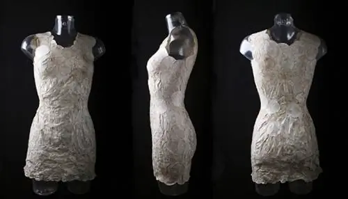 биодизайн, Аниэла Хойтинк, платье-мицеллиум