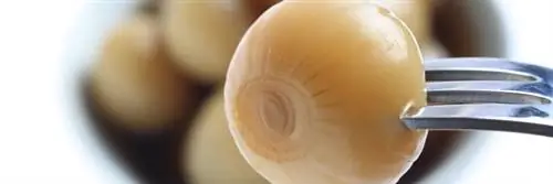 Отзыв о продукте: Мелкий белый лук - Лютик - Intermarché