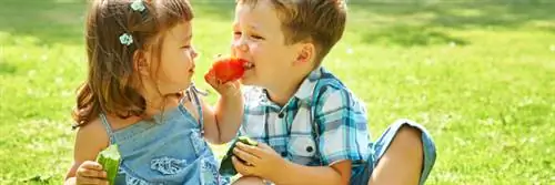 Французы никогда еще не ели так мало фруктов и овощей
