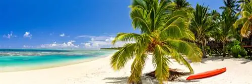 Крошечный архипелаг Островов Кука создал крупнейший в мире морской заповедник