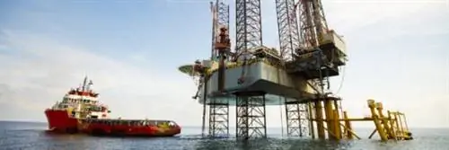 Сделайте разведку месторождений более уважительной к китообразным с помощью технологии Vibroseis Marin