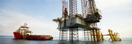 Делаем поиск месторождений более уважительным к китообразным с помощью технологии Vibroseis Marin