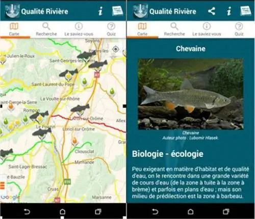 качество наших рек