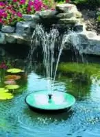 Статья об устойчивом развитии