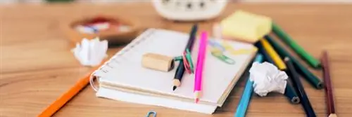 Вам нужно навести порядок на столе, чтобы работать эффективно и творчески?