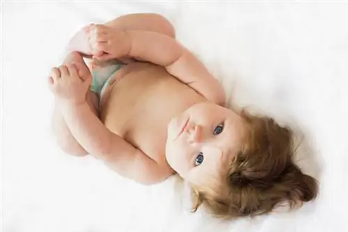 налог на подгузники