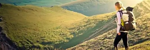 Пальмы за устойчивый туризм: награждены 6 компаний