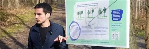 Международный день лесов: новые правила, которые помогут лучше их сохранить