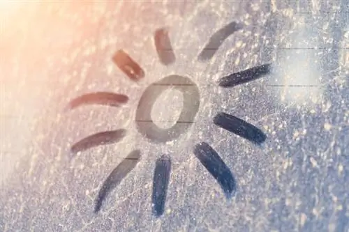 антибактериальное солнце