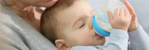 Отзыв продукции - Органический препарат для последующего наблюдения за детьми 2-го возраста - Baby Mandorle