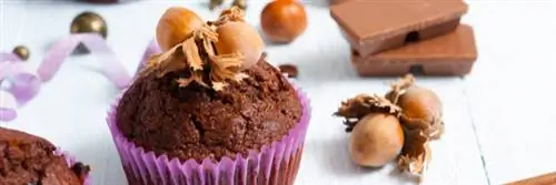 Отзыв продукта – Маффины с фундуком и какао – Valpibio