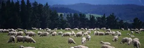 демократическое участие в сельском хозяйстве