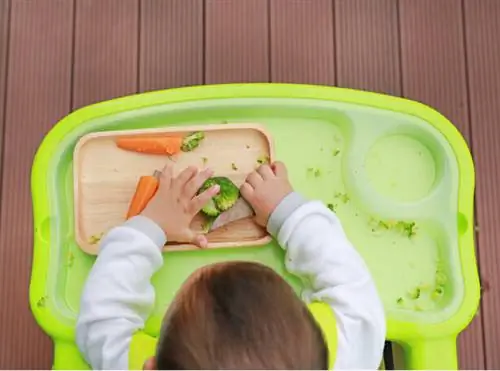 опасность веганской диеты