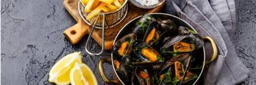 Отзыв продукции – Канатные формы – Линия качества Carrefour