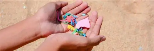 Страшный! Люди поглощают десятки тысяч пластиковых частиц в год