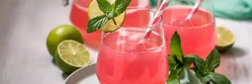 Сок ревеня: многочисленные преимущества для нашего здоровья