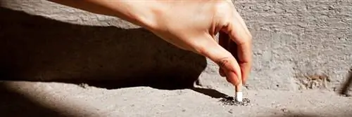 Окурки обмениваются… на ваучеры