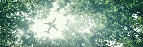 Можем ли мы по-прежнему быть зелеными и летать?