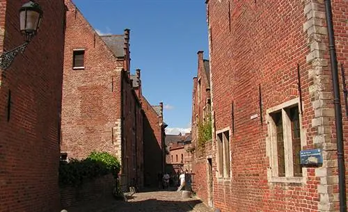 Левен-Грот-Бегейнхоф-2