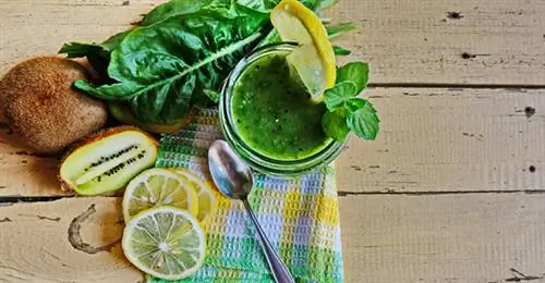 вегетарианский цистит