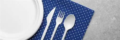 Одноразовые пластиковые столовые приборы – Как производители обходят запрет